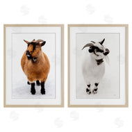 Deborah Revell | Two Little Goats