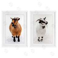 Deborah Revell | Two Little Goats