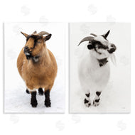 Deborah Revell | Two Little Goats