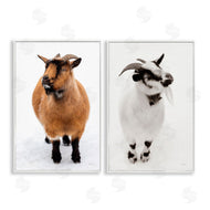 Deborah Revell | Two Little Goats