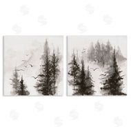 Chris Paschke | Free Flight Forest