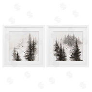 Chris Paschke | Free Flight Forest
