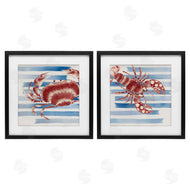 Eli Jones | Striped Claws Sea Creatures