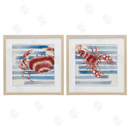 Eli Jones | Striped Claws Sea Creatures