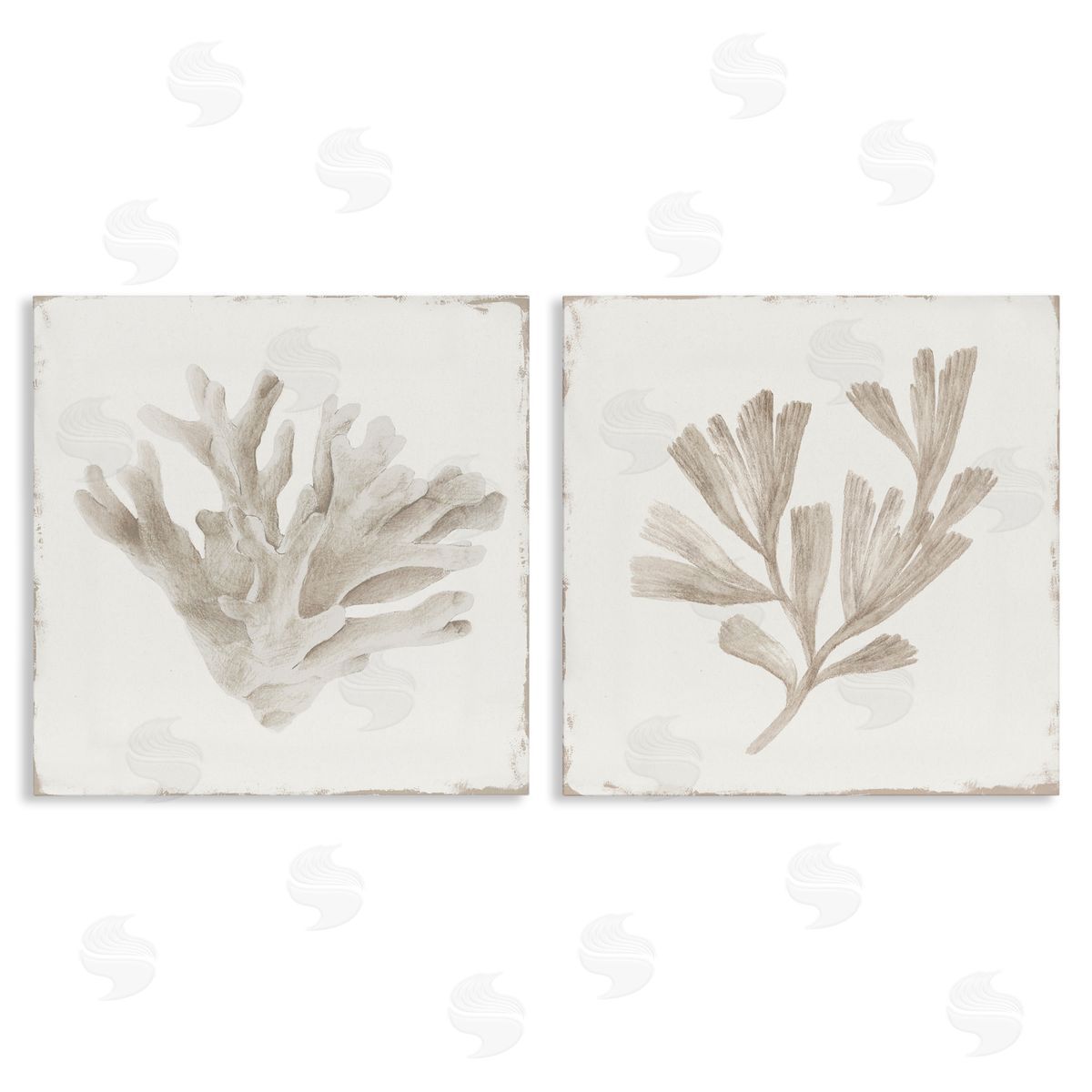 Lily K. Beige Coral Drift Canvas Wall Art Print