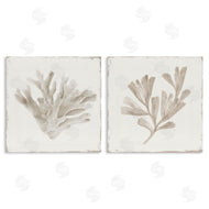 Lily K. | Beige Coral Drift