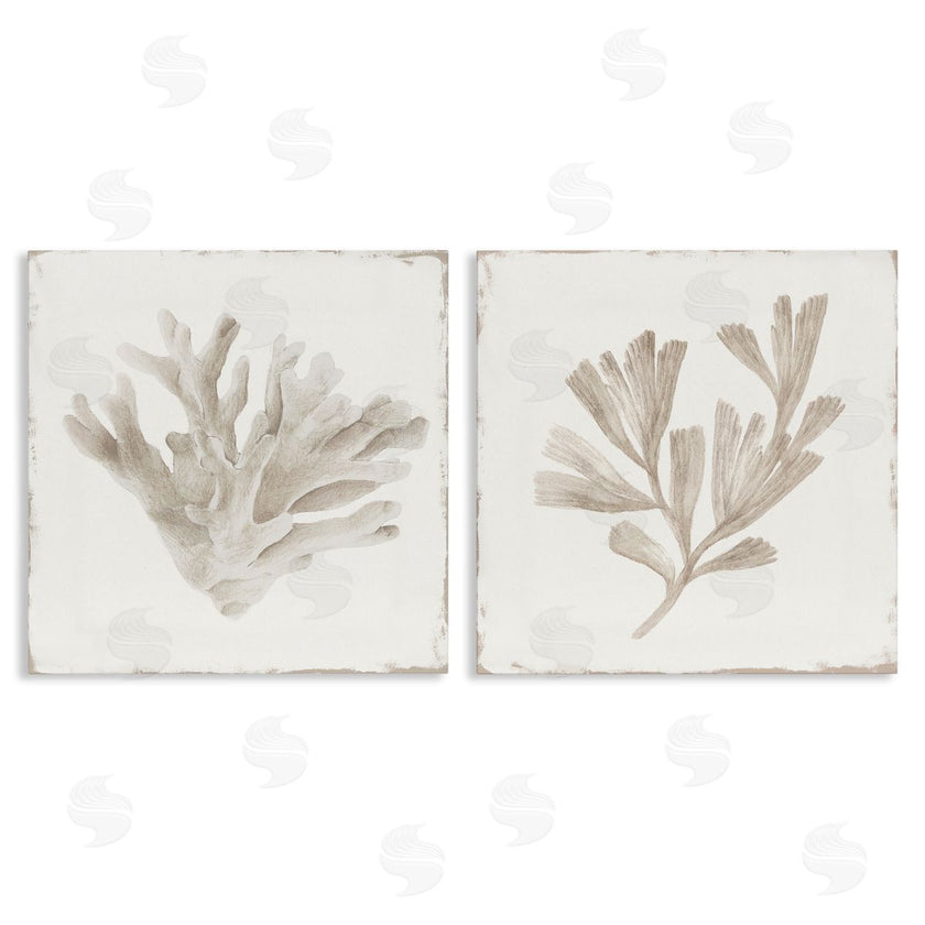 Lily K. | Beige Coral Drift
