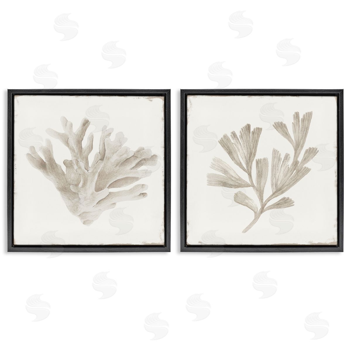 Lily K. Beige Coral Drift Canvas Wall Art Print