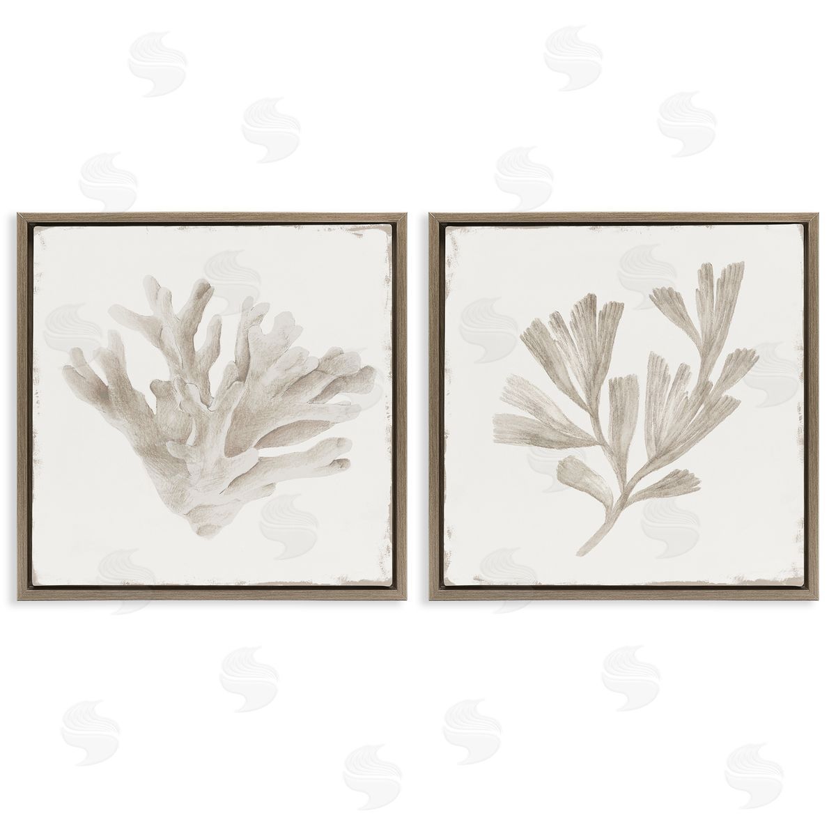 Lily K. Beige Coral Drift Canvas Wall Art Print