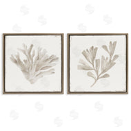 Lily K. | Beige Coral Drift