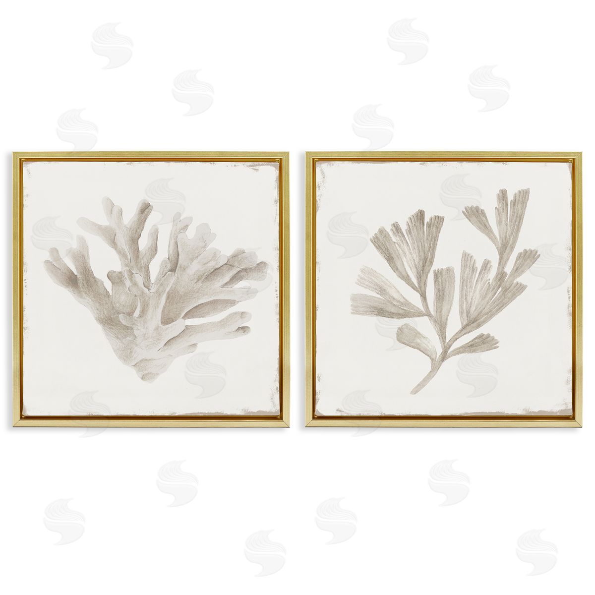 Lily K. Beige Coral Drift Canvas Wall Art Print