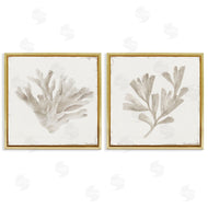 Lily K. | Beige Coral Drift