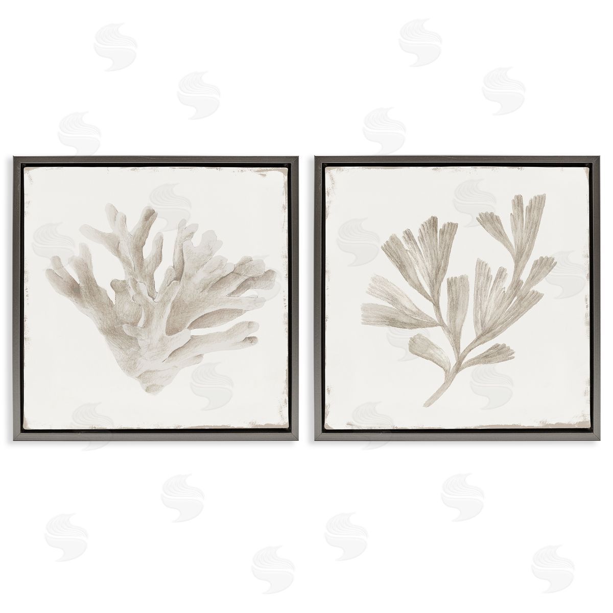 Lily K. Beige Coral Drift Canvas Wall Art Print
