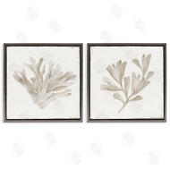 Lily K. | Beige Coral Drift