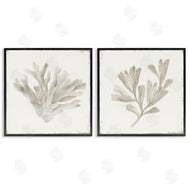 Lily K. | Beige Coral Drift
