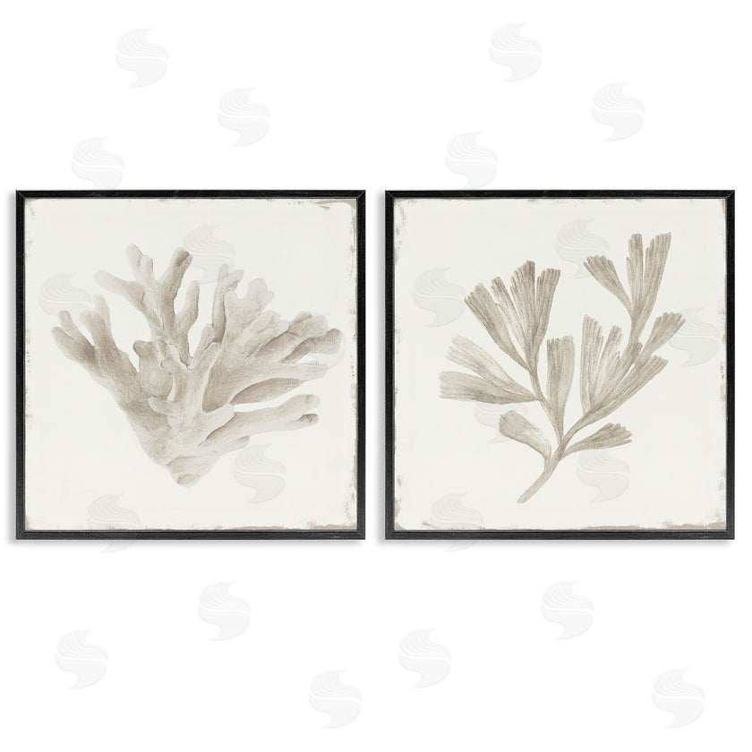 Lily K. | Beige Coral Drift