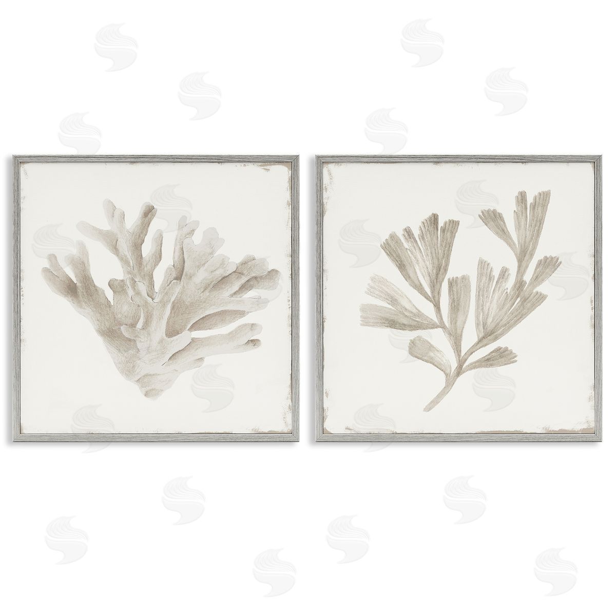 Lily K. Beige Coral Drift Canvas Wall Art Print