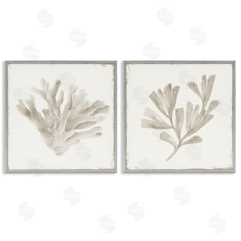 Lily K. | Beige Coral Drift