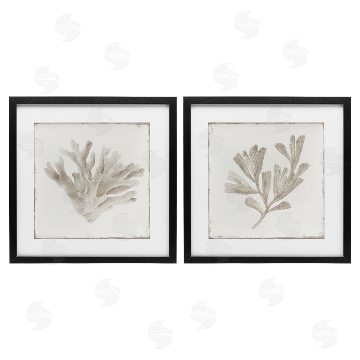 Lily K. Beige Coral Drift Canvas Wall Art Print