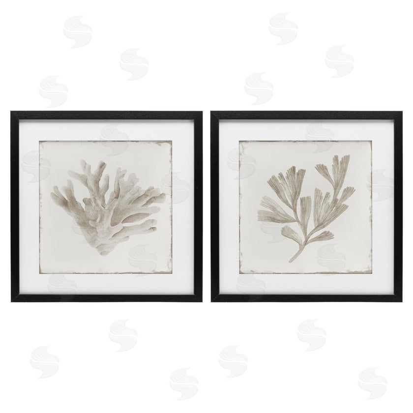 Lily K. | Beige Coral Drift