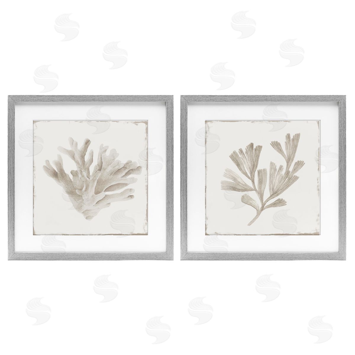 Lily K. Beige Coral Drift Canvas Wall Art Print