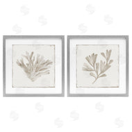 Lily K. | Beige Coral Drift