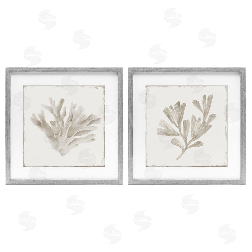 Lily K. | Beige Coral Drift