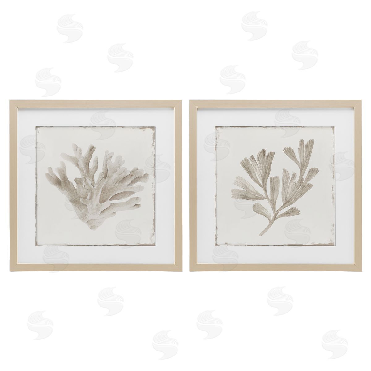Lily K. Beige Coral Drift Canvas Wall Art Print