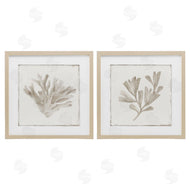 Lily K. | Beige Coral Drift