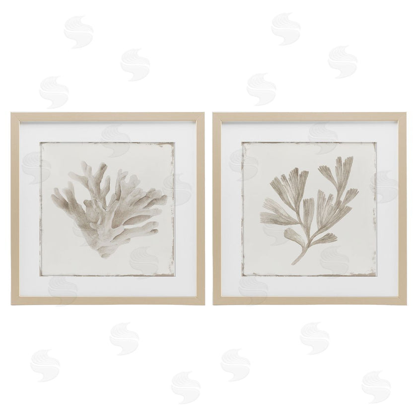 Lily K. | Beige Coral Drift