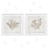 Lily K. | Beige Coral Drift