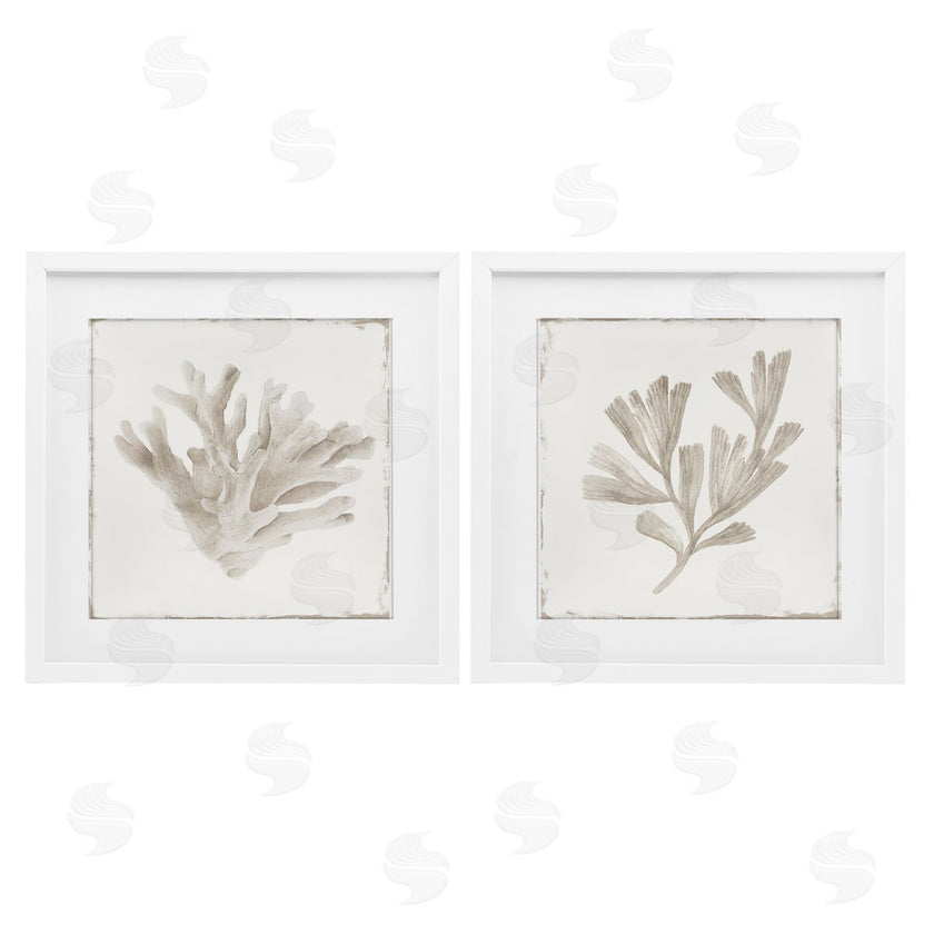 Lily K. | Beige Coral Drift