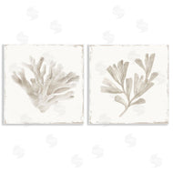 Lily K. | Beige Coral Drift