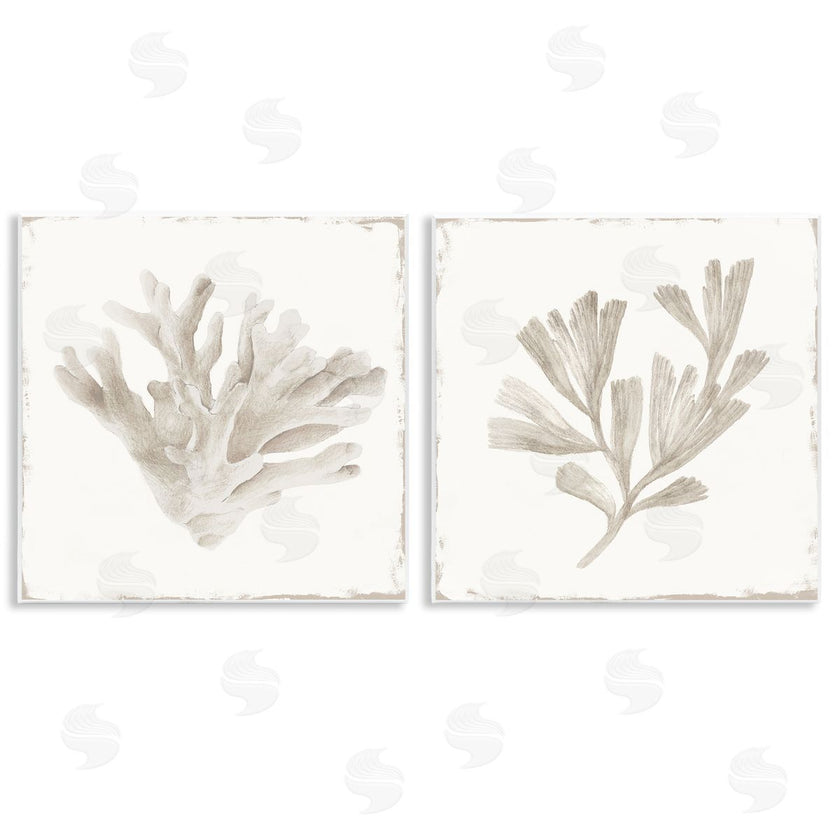 Lily K. | Beige Coral Drift