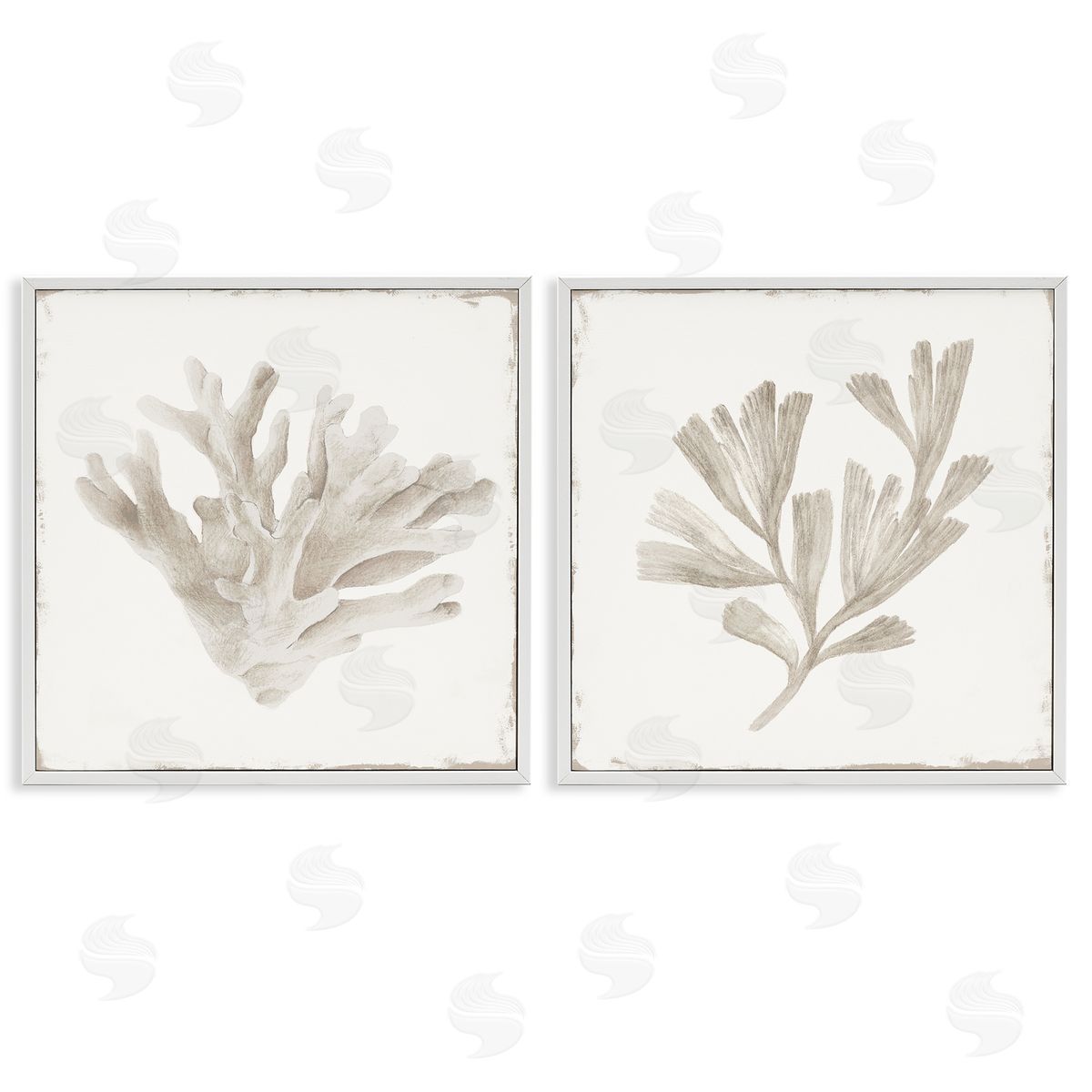 Lily K. Beige Coral Drift Canvas Wall Art Print