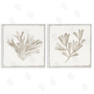 Lily K. | Beige Coral Drift