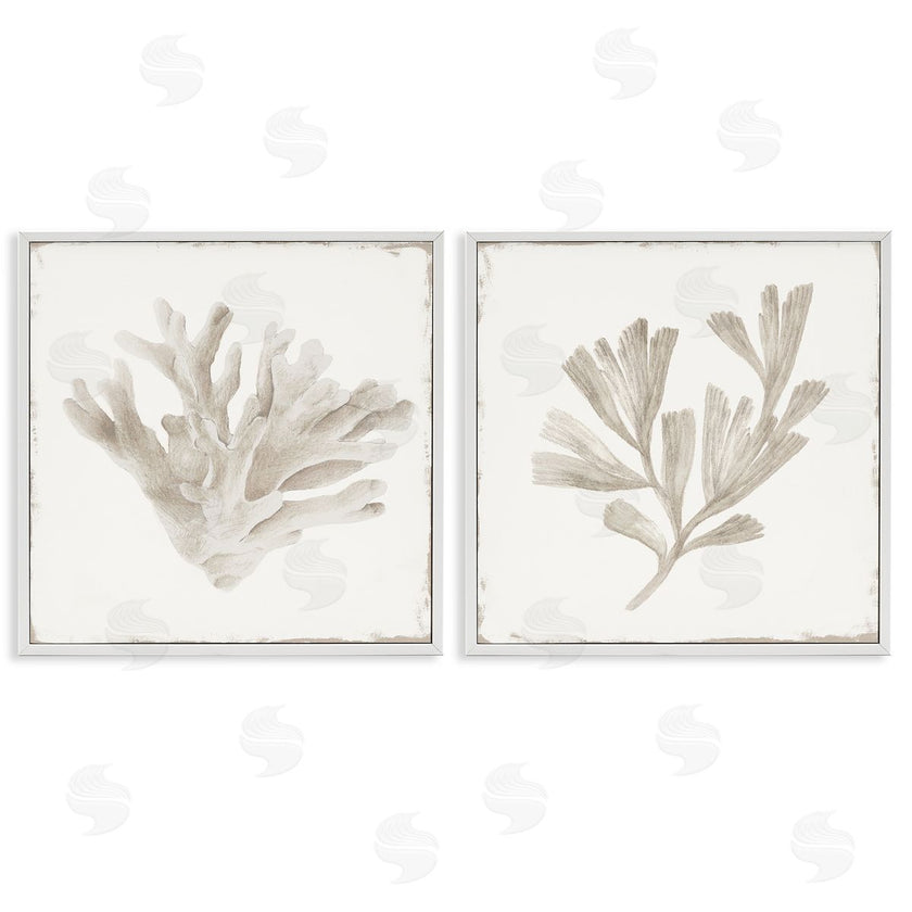 Lily K. | Beige Coral Drift
