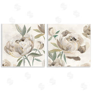 Aria K. | Neutral Lustrous Peonies