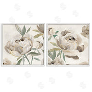 Aria K. | Neutral Lustrous Peonies