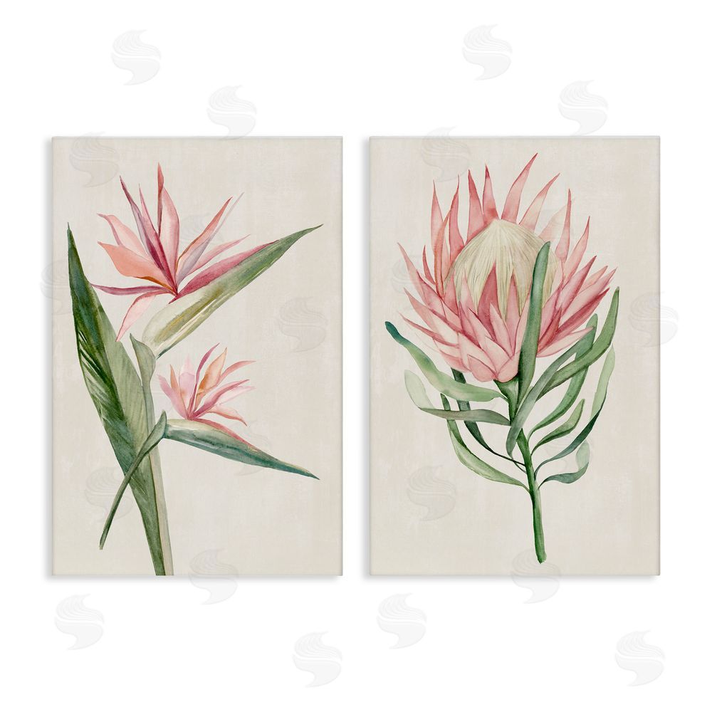 Hannah Dawson Tropical Grace Botanicals Canvas Wall Art Set