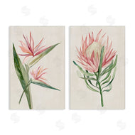 Hannah Dawson | Tropical Grace Botanicals