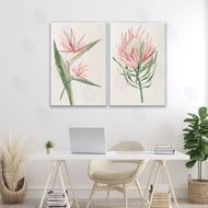 Hannah Dawson | Tropical Grace Botanicals