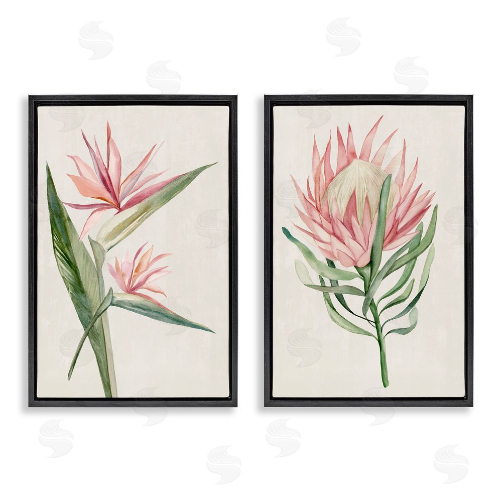 Hannah Dawson Tropical Grace Botanicals Black Floating Frame Canvas Wall Art Set