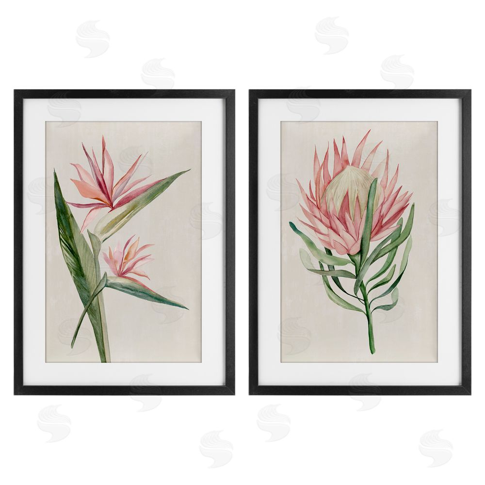 Hannah Dawson Tropical Grace Botanicals Black Framed Print Under Glass Set