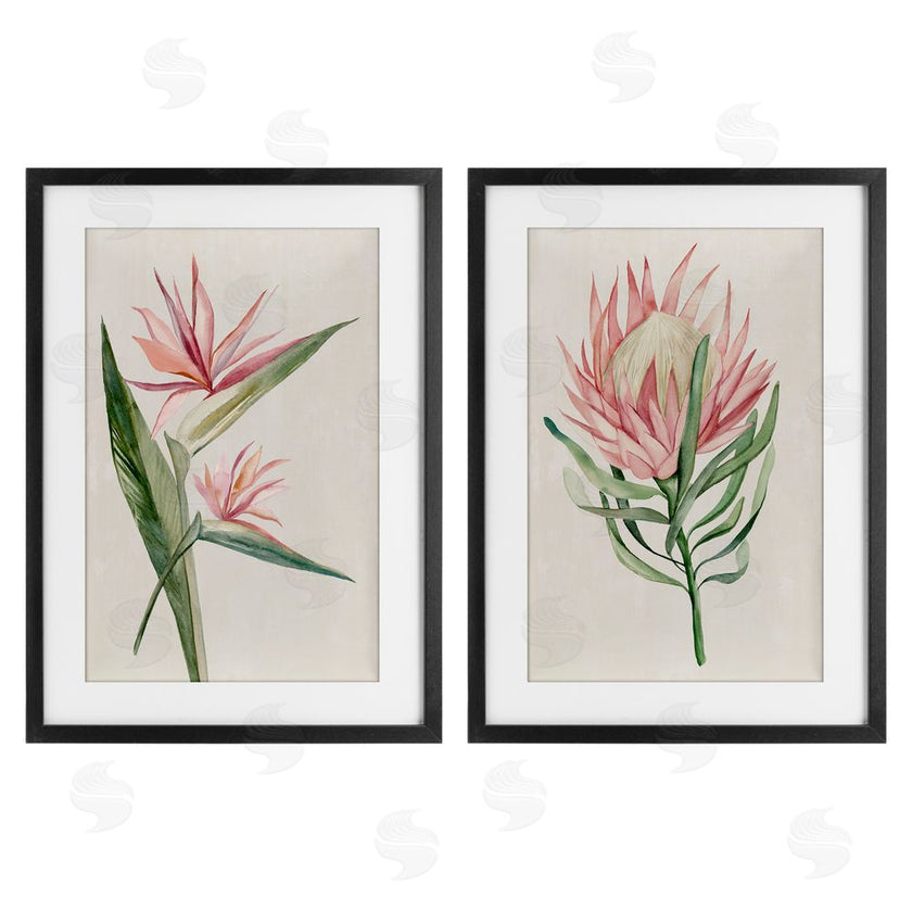 Hannah Dawson | Tropical Grace Botanicals