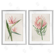 Hannah Dawson | Tropical Grace Botanicals