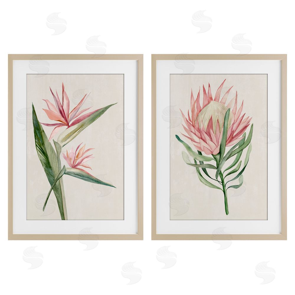 Hannah Dawson Tropical Grace Botanicals Birch Framed Print Under Glass Set