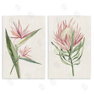 Hannah Dawson | Tropical Grace Botanicals