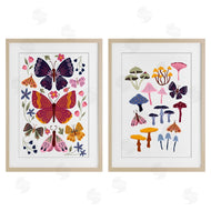 JJ Design House LLC | Butterflies & Delicate Mushrooms
