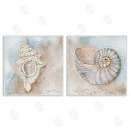 Audrey Jeanne Roberts | Conch & Nautilus Ocean's Edge